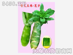 广西台农种苗有限责任公司的 产品代理商 经销商刘 山东代理意向