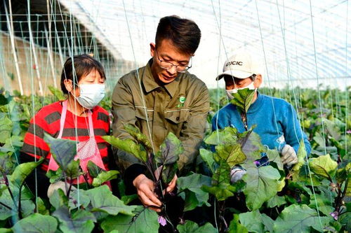 山东春耕春管忙